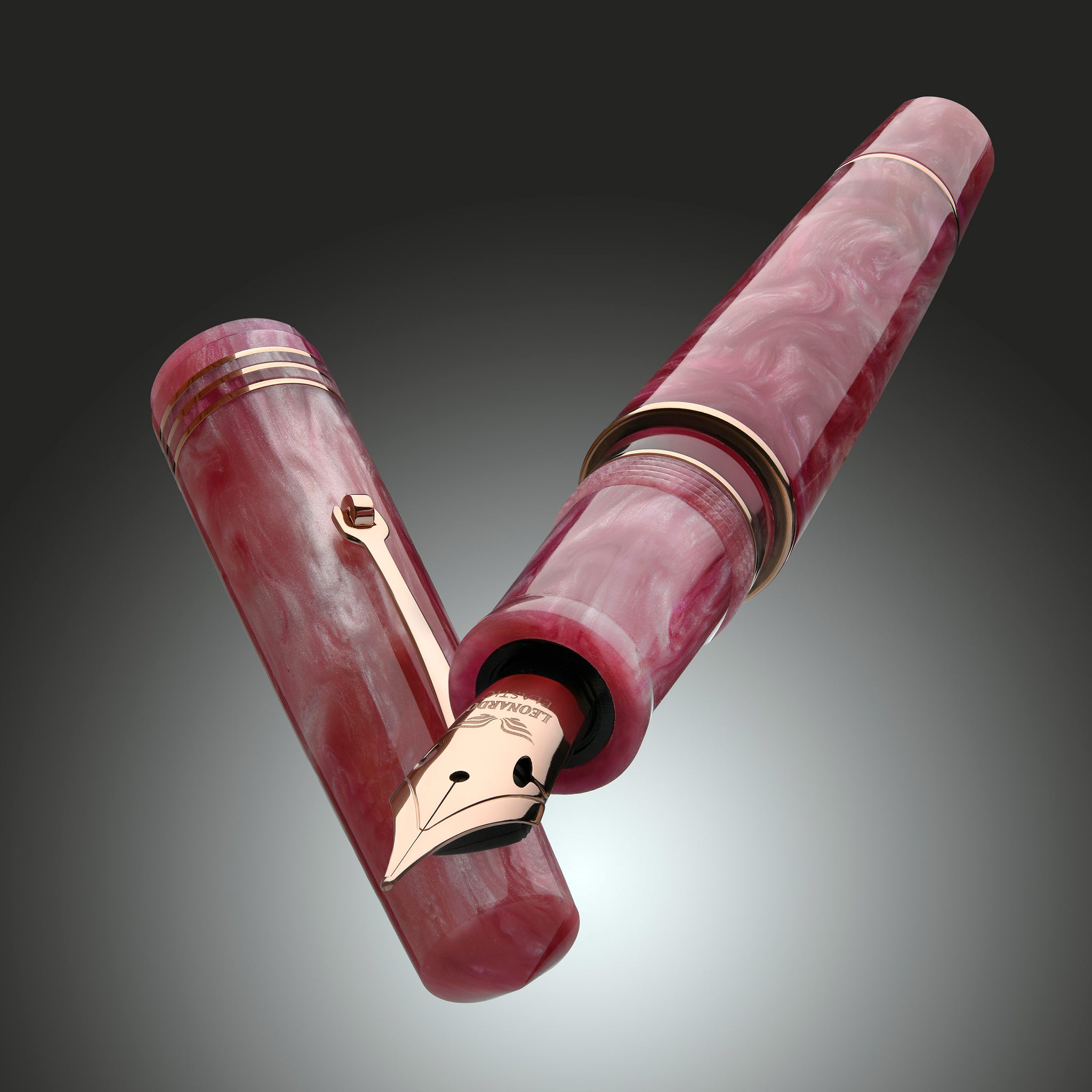 MZG2.0 Sakura steel nib #6 – leonardopen